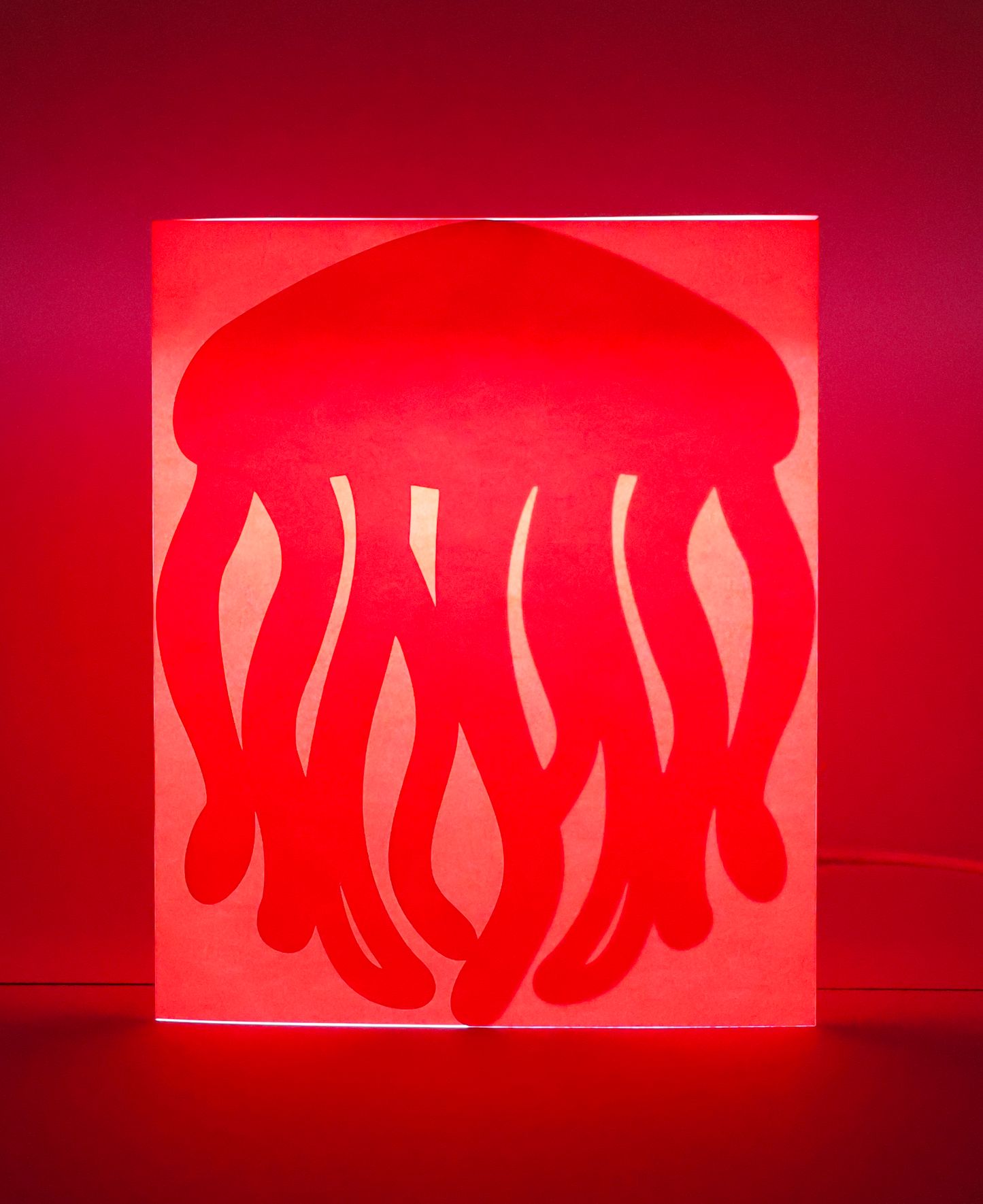 Hide & Switch "Jellyfish"