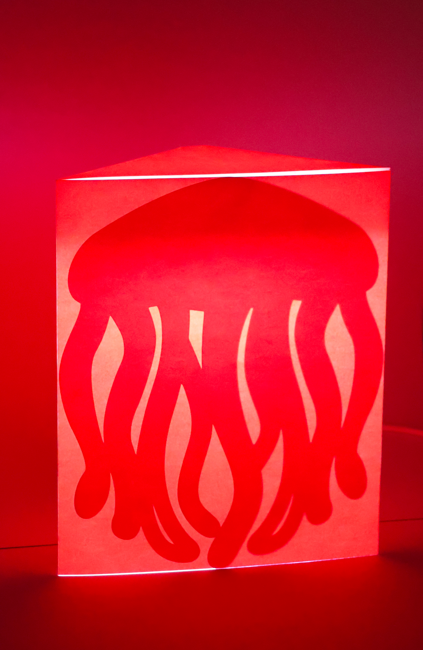 Hide & Switch "Jellyfish"